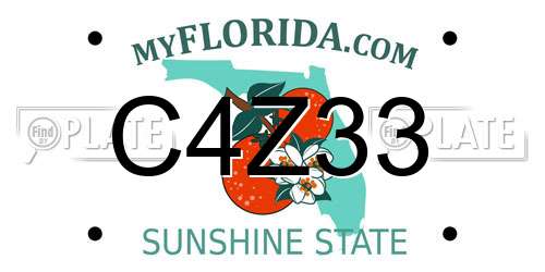 C4Z33 Florida License Plate