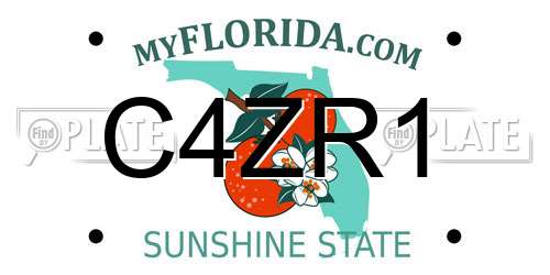 C4ZR1 Florida License Plate
