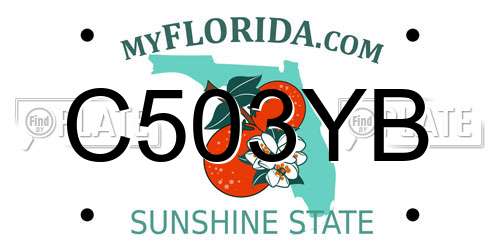 C503YB Florida License Plate