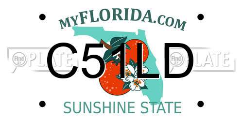 C51LD Florida License Plate