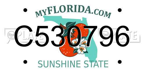 C530796 Florida License Plate
