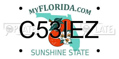 C53IEZ Florida License Plate
