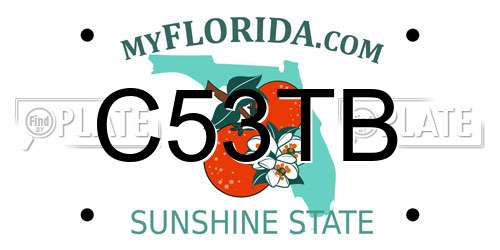C53TB Florida License Plate