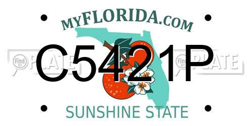 C5421P Florida License Plate