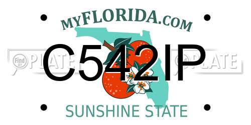 C542IP Florida License Plate