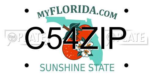 C54ZIP Florida License Plate