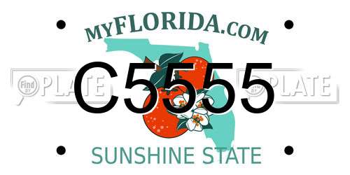 C5555 Florida License Plate