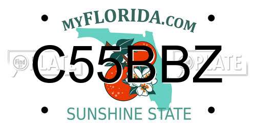 C55BBZ Florida License Plate
