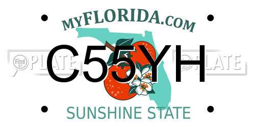 C55YH Florida License Plate