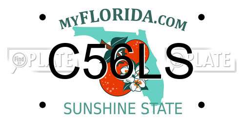 C56LS Florida License Plate