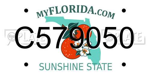 C579050 Florida License Plate