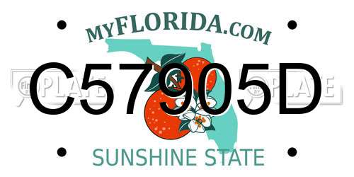 C57905D Florida License Plate