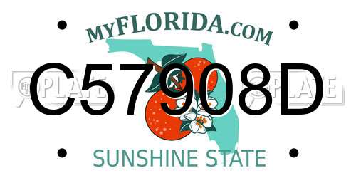 C57908D Florida License Plate
