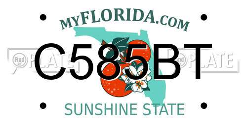 C585BT Florida License Plate