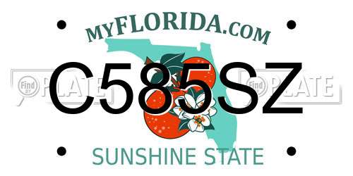 C585SZ Florida License Plate