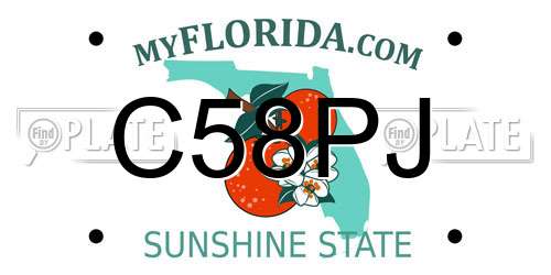C58PJ Florida License Plate