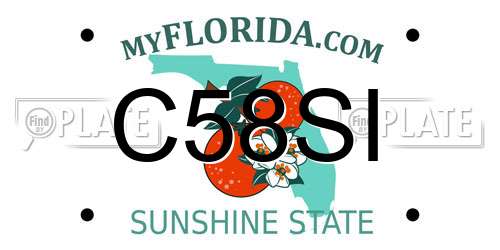 C58SI Florida License Plate