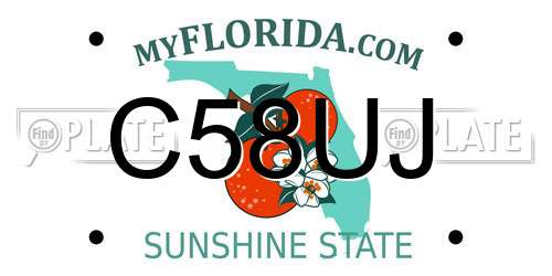 C58UJ Florida License Plate