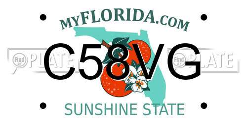 C58VG Florida License Plate