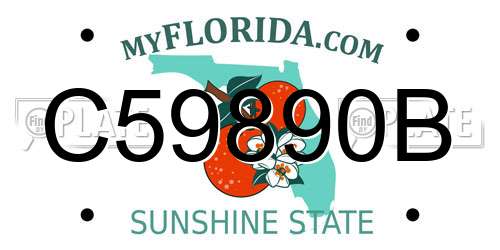 C59890B Florida License Plate