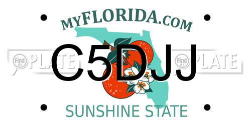 C5DJJ Florida License Plate