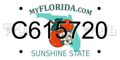 C615720 Florida License Plate