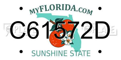 C61572D Florida License Plate