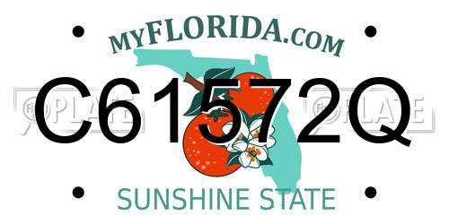 C61572Q Florida License Plate