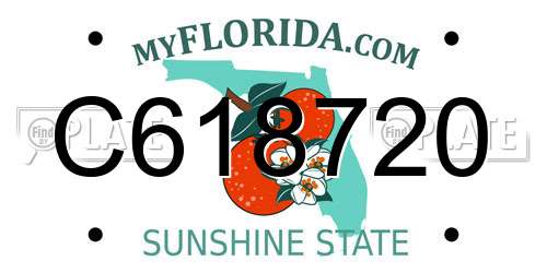 C618720 Florida License Plate