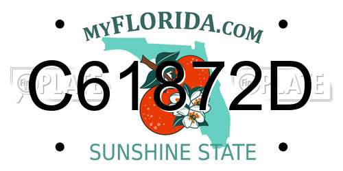 C61872D Florida License Plate