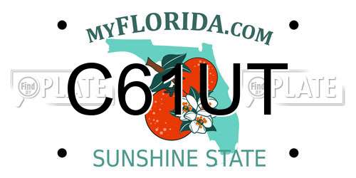 C61UT Florida License Plate