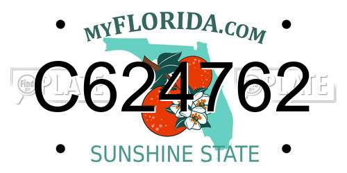 C624762 Florida License Plate
