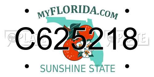C625218 Florida License Plate