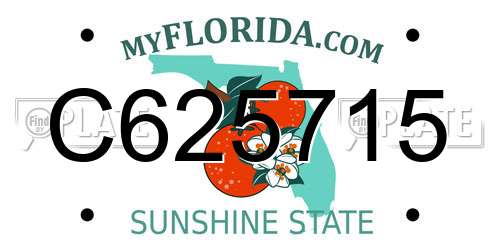 C625715 Florida License Plate
