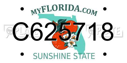 C625718 Florida License Plate