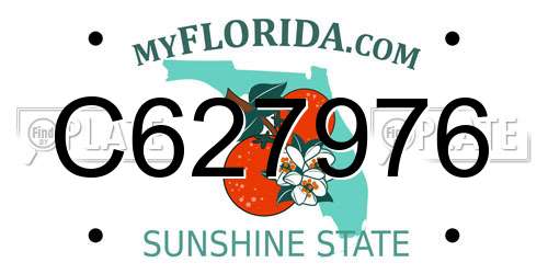 C627976 Florida License Plate