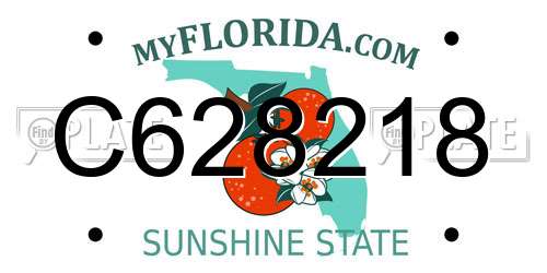 C628218 Florida License Plate