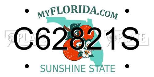 C62821S Florida License Plate
