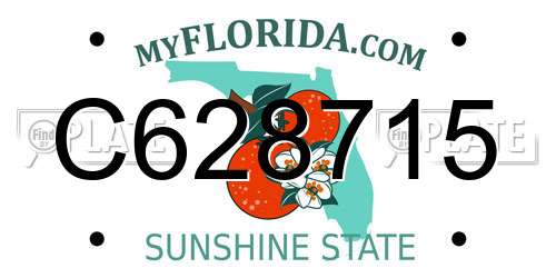 C628715 Florida License Plate