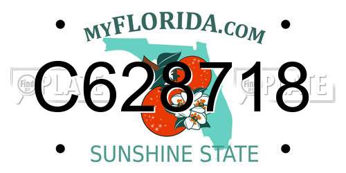C628718 Florida License Plate