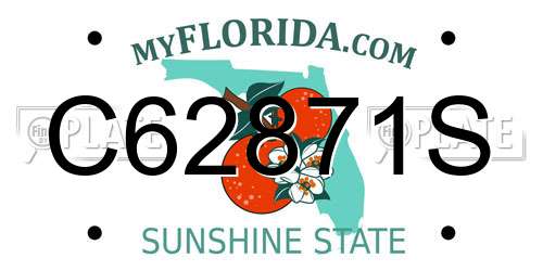 C62871S Florida License Plate