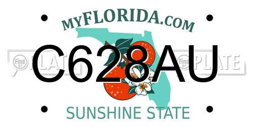 C628AU Florida License Plate