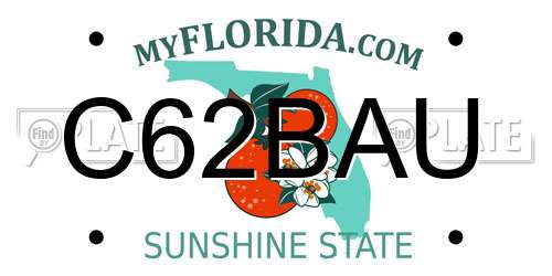 C62BAU Florida License Plate