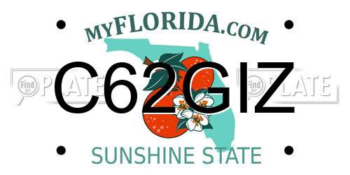 C62GIZ Florida License Plate