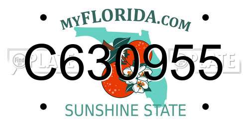 C630955 Florida License Plate