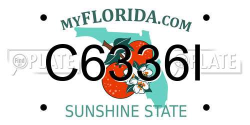 C6336I Florida License Plate