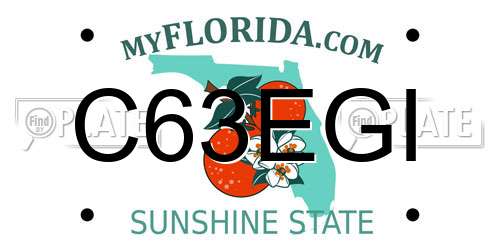 C63EGI Florida License Plate