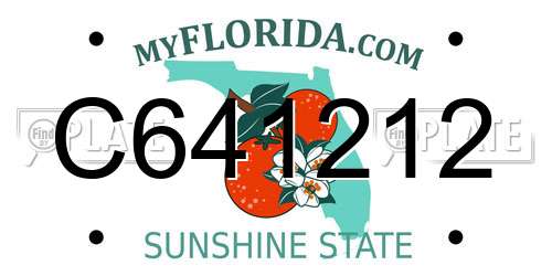 C641212 Florida License Plate