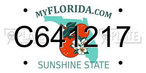 C641217 Florida License Plate