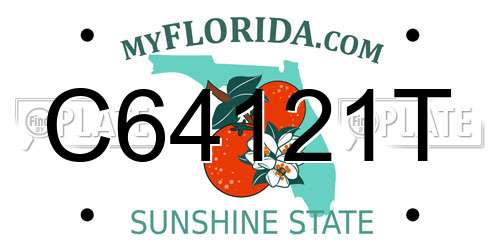 C64121T Florida License Plate